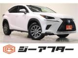 レクサスＮＸ 300 4WD 純正ナビ／地デジ／バックカメラ／電動リア