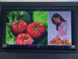 N_BOXカスタム(新潟県上越市)画像37