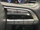 CX-30(新潟県新潟市南区)画像6