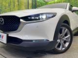 CX-30(新潟県新潟市南区)画像12