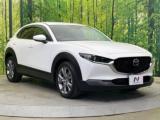 CX-30(新潟県新潟市南区)画像16