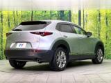 ＣＸ－３０（新潟県新潟市東区）画像17