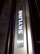 スカイラインクロスオーバー（新潟県十日町市）画像63