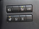 オートハイビーム　ブラインドスポットモニター　パワーバックドア　ステアリングヒーター