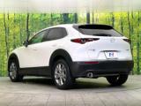 ＣＸ－３０（新潟県新潟市東区）画像68