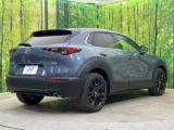 ＣＸ－３０（新潟県新潟市南区）画像17