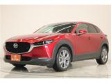 ＣＸ－３０（新潟県新潟市東区）画像9