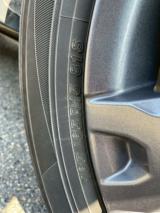 タフト（新潟県新潟市南区）画像60